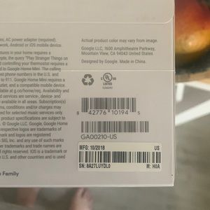 NiB Google Home Mini